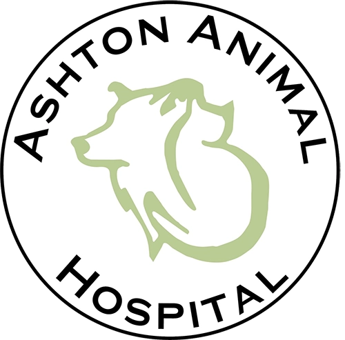 Ashton Animal Hospital