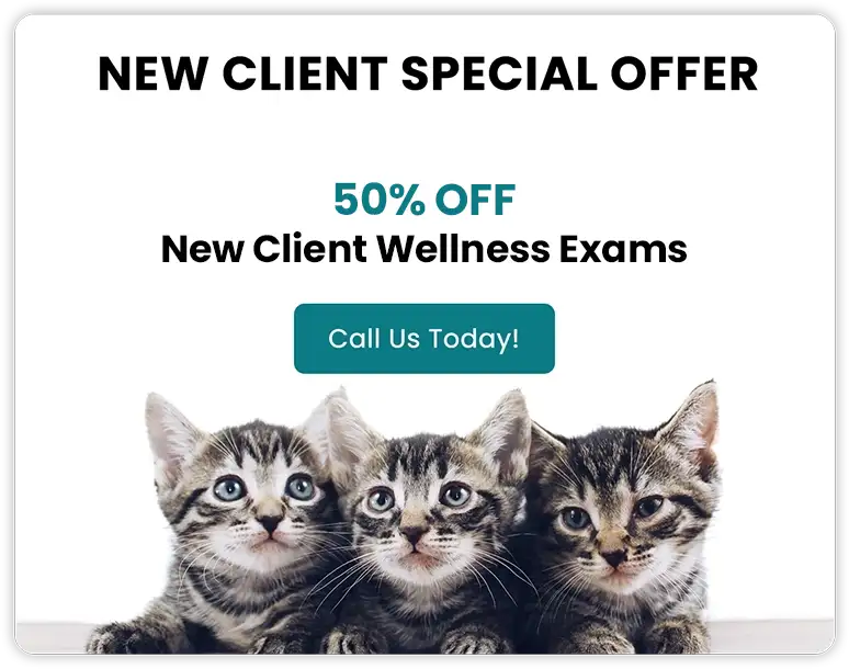 New Client Special offer - 50% Off New Client Wellness Exams