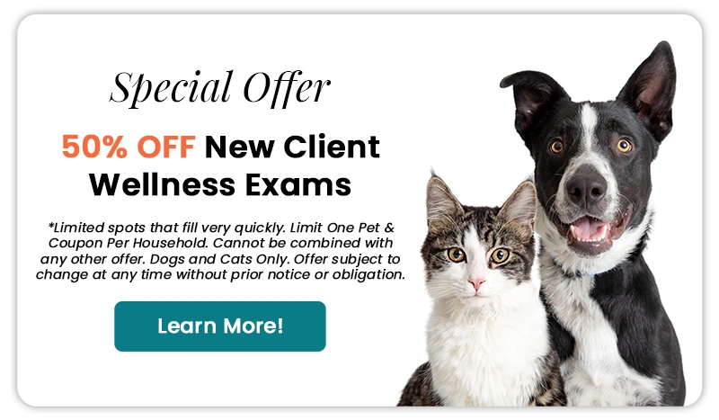 Special Offer - 50% OFF New Client Wellness Exams