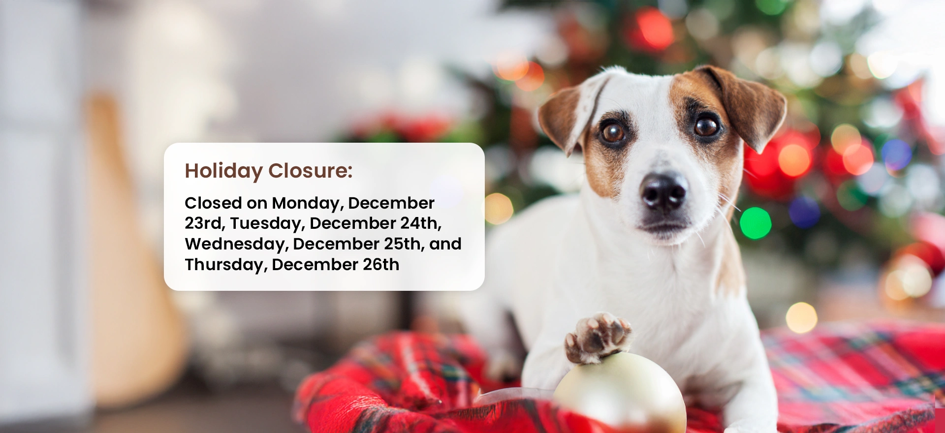 Holiday Closure: Closed from Monday, December 23rd to Thursday, December 26th.