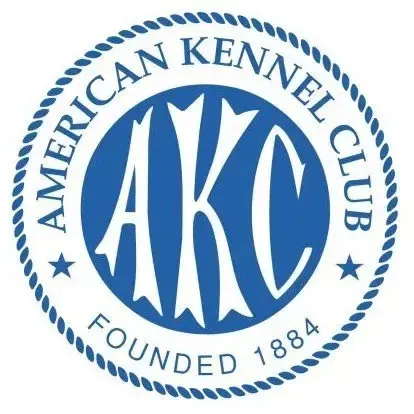 American Kennel Club