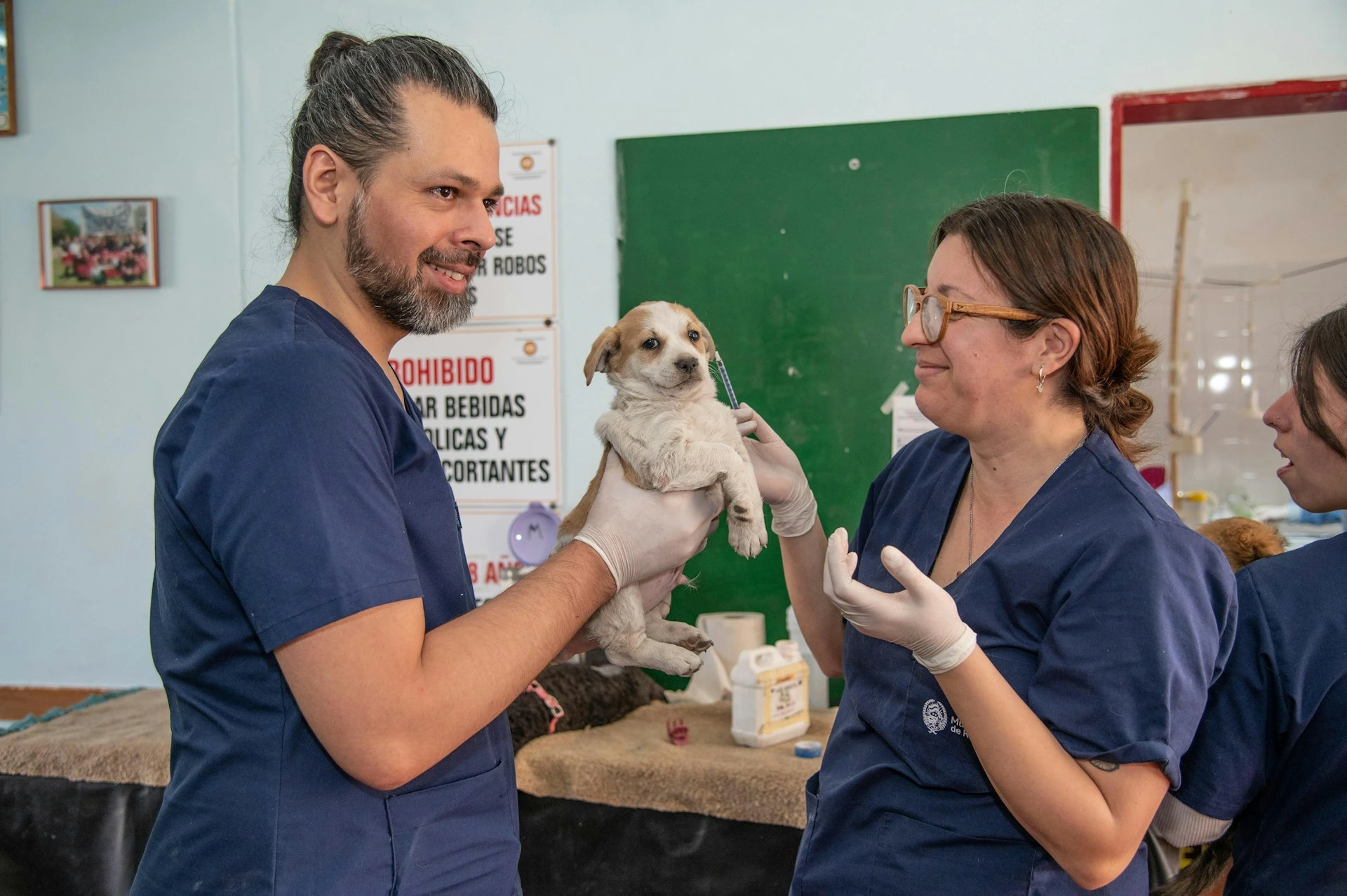 A male veterinary worker holds up a puppy, as a female colleague prepares a vaccine with a syringe in a medical clinic setting.
